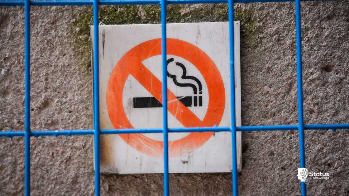 nova lei do tabaco1